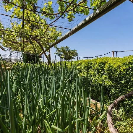 Villa Villa Giakoumakis *